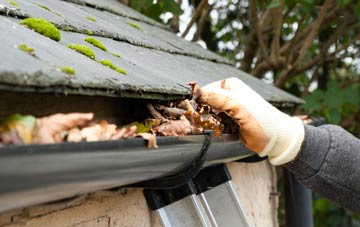 gutter cleaning Gayton Le Wold, Lincolnshire